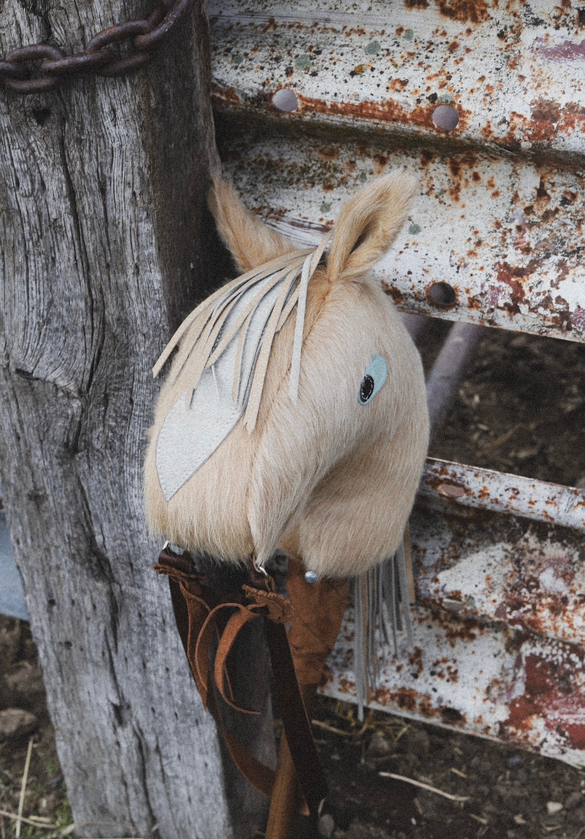 Goldie! Cowhorse