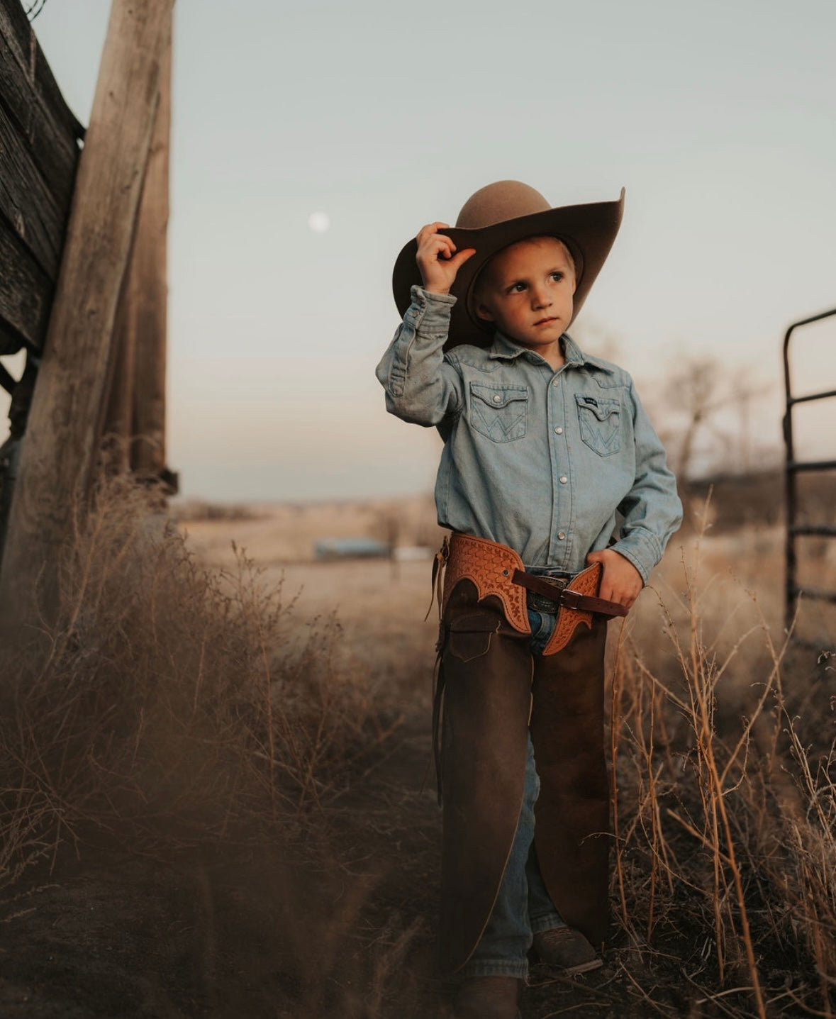 Dusty Trail Chaps