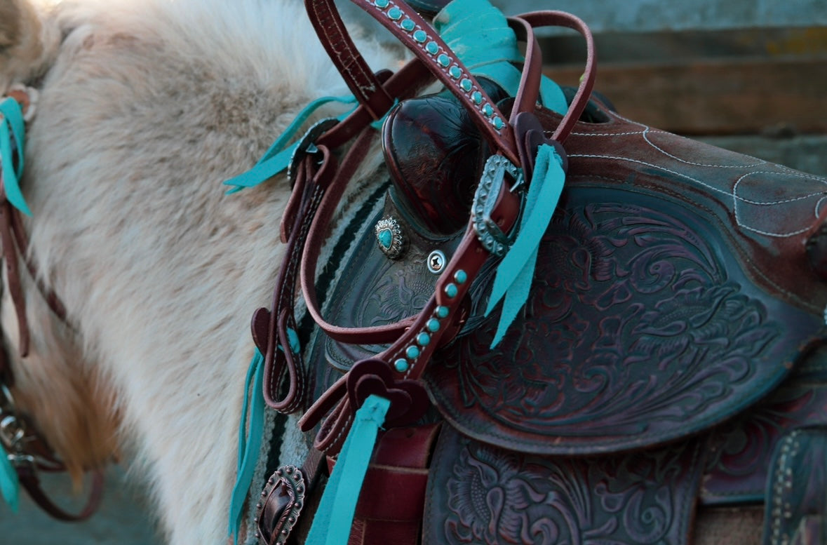 Pony Hearts Browband Headstall