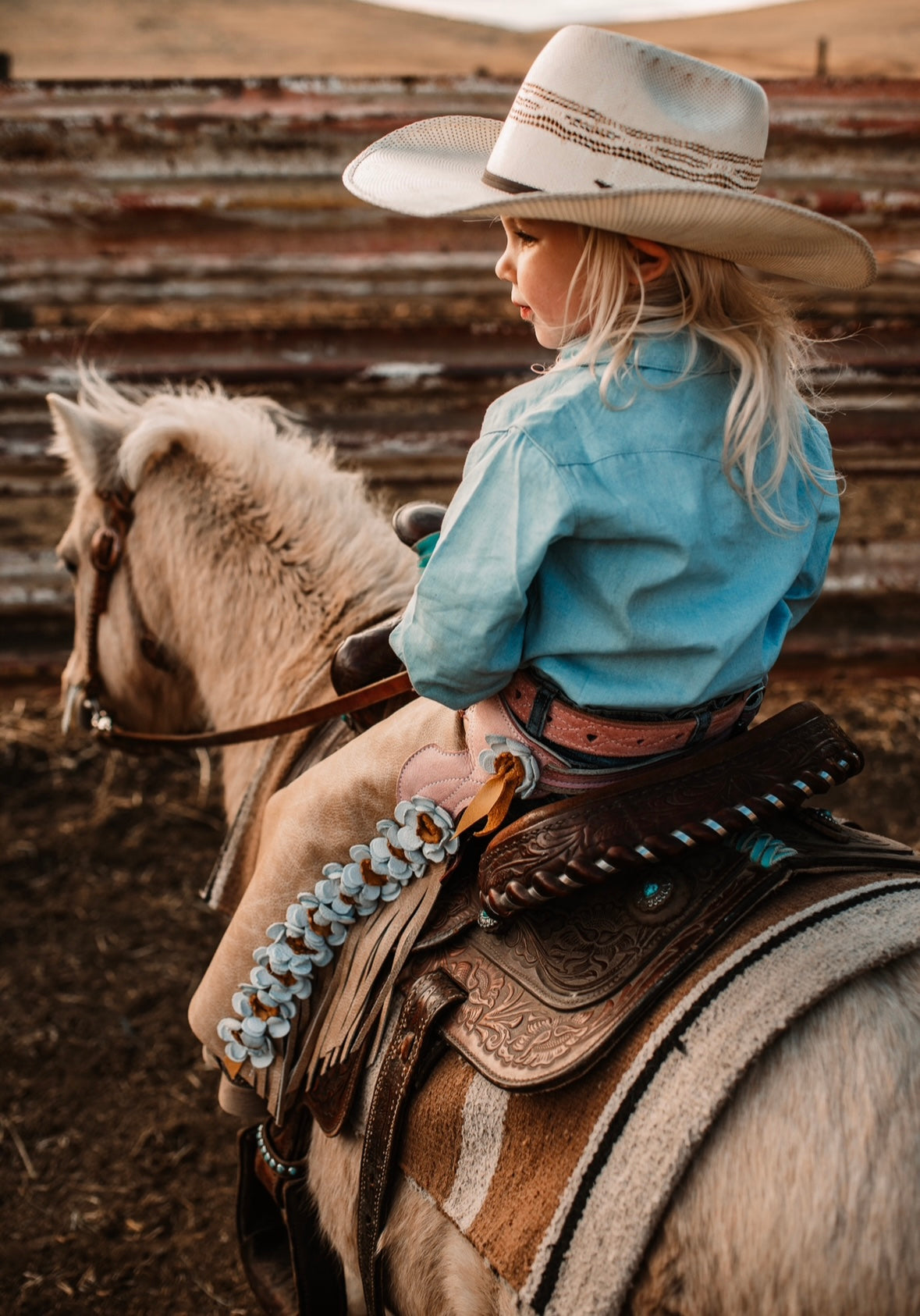 Wild Daisy Chaps