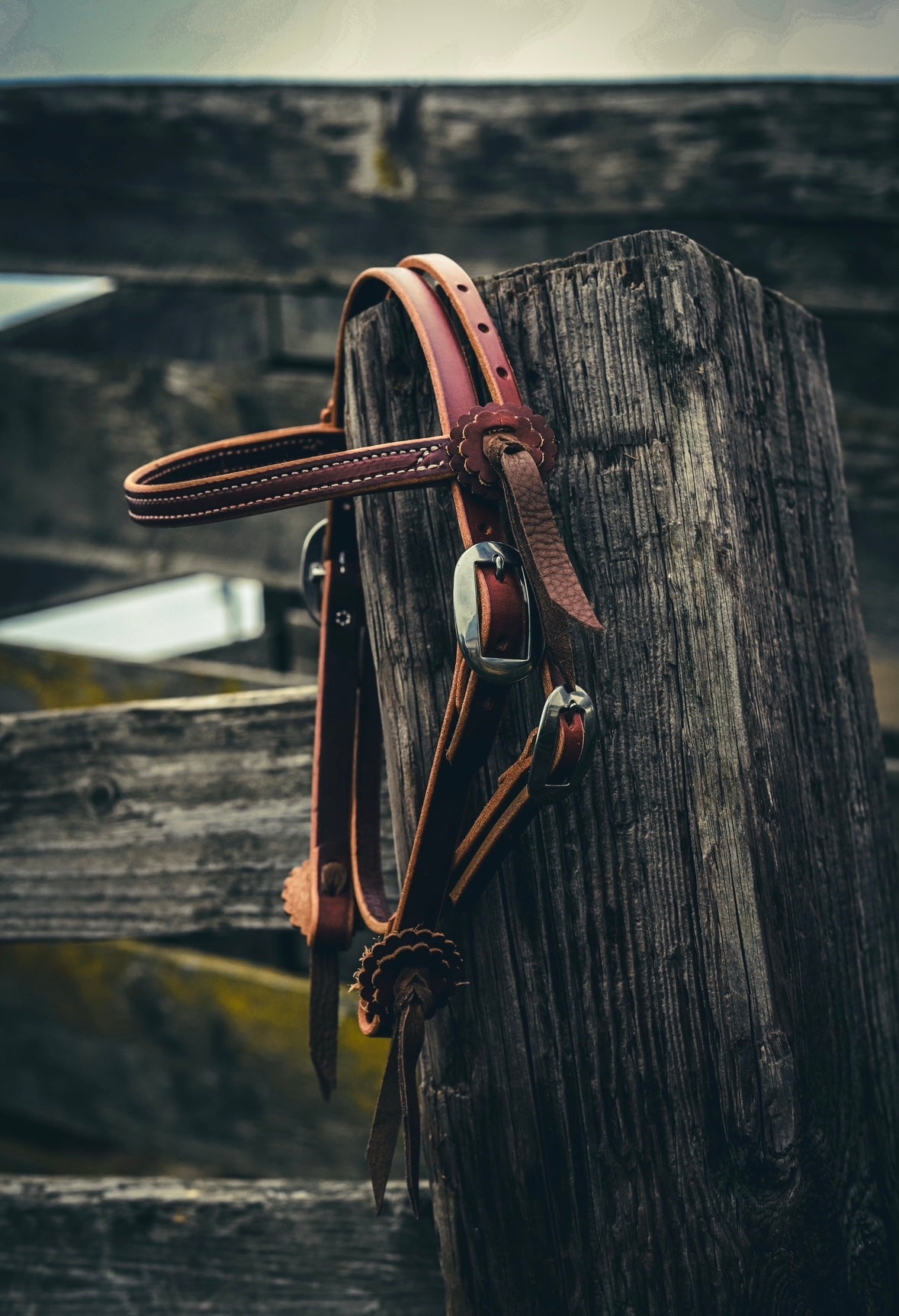 Plain Pony Headstall