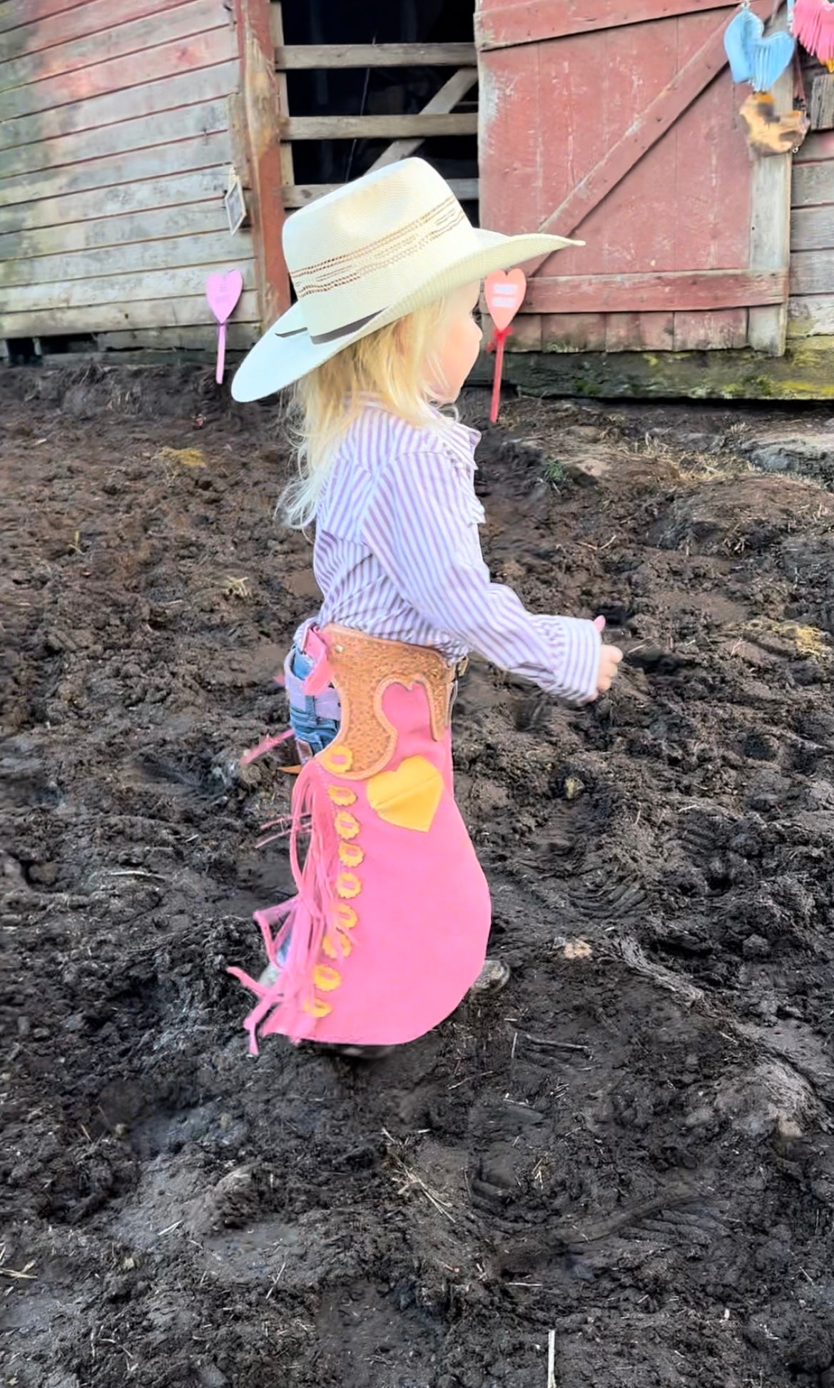 2-3T Toddler chaps!