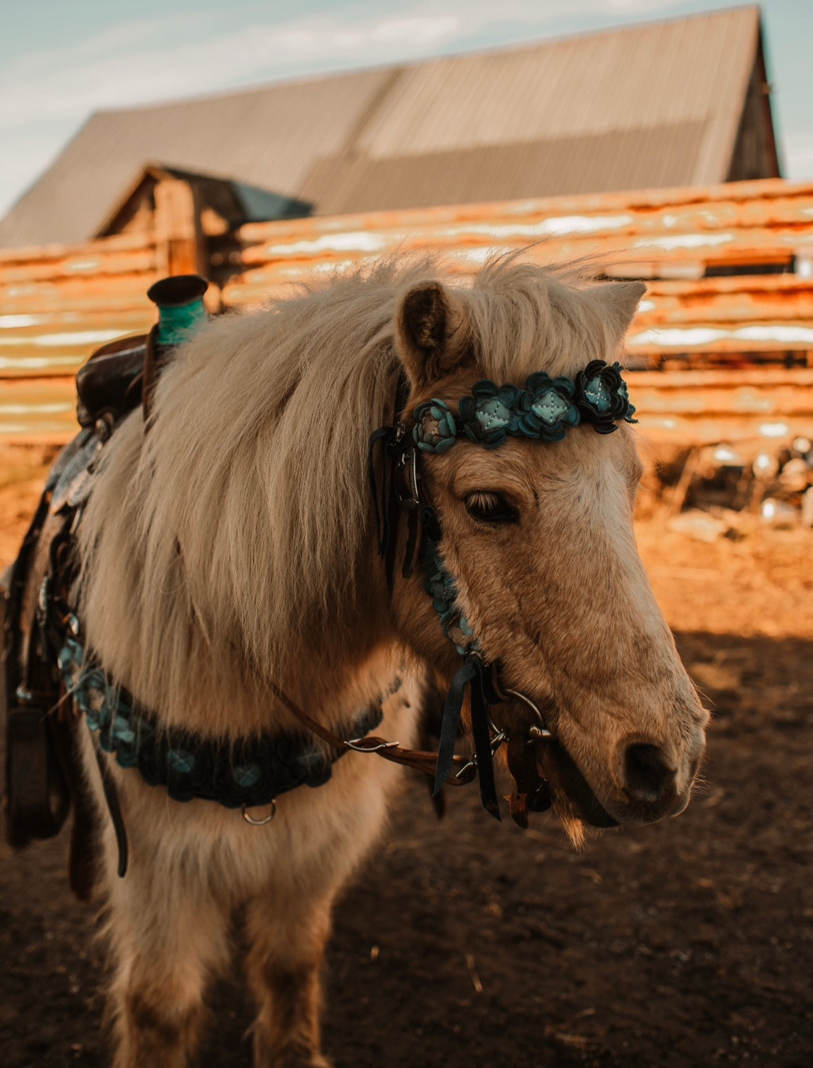 Tack Set Bluebird Valley