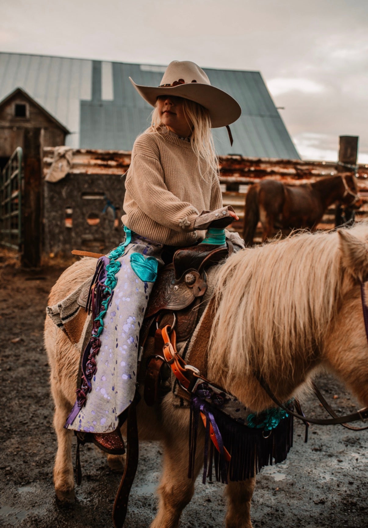 Mystic Meadows Chaps!