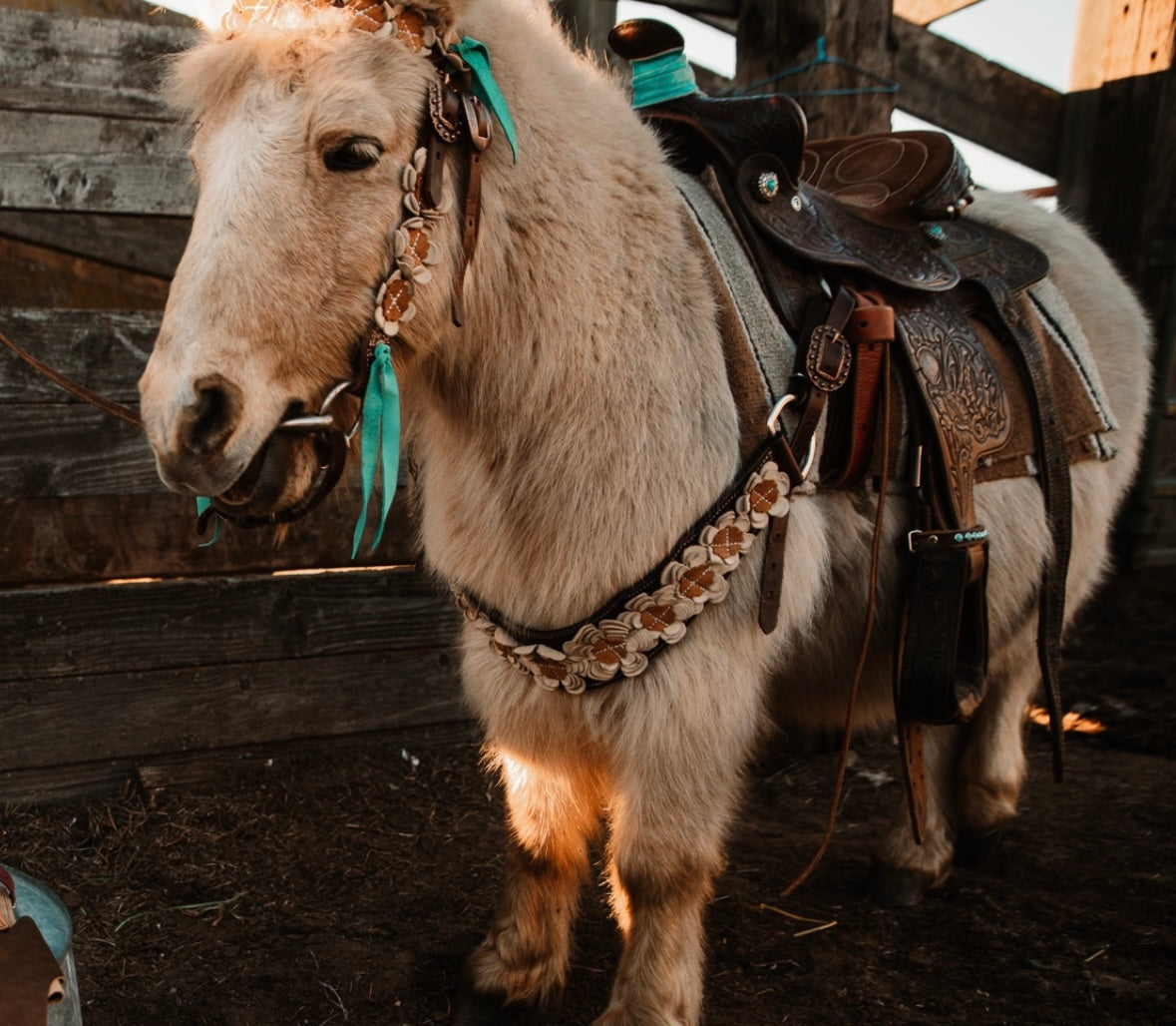 Golden Prairie Tack Set