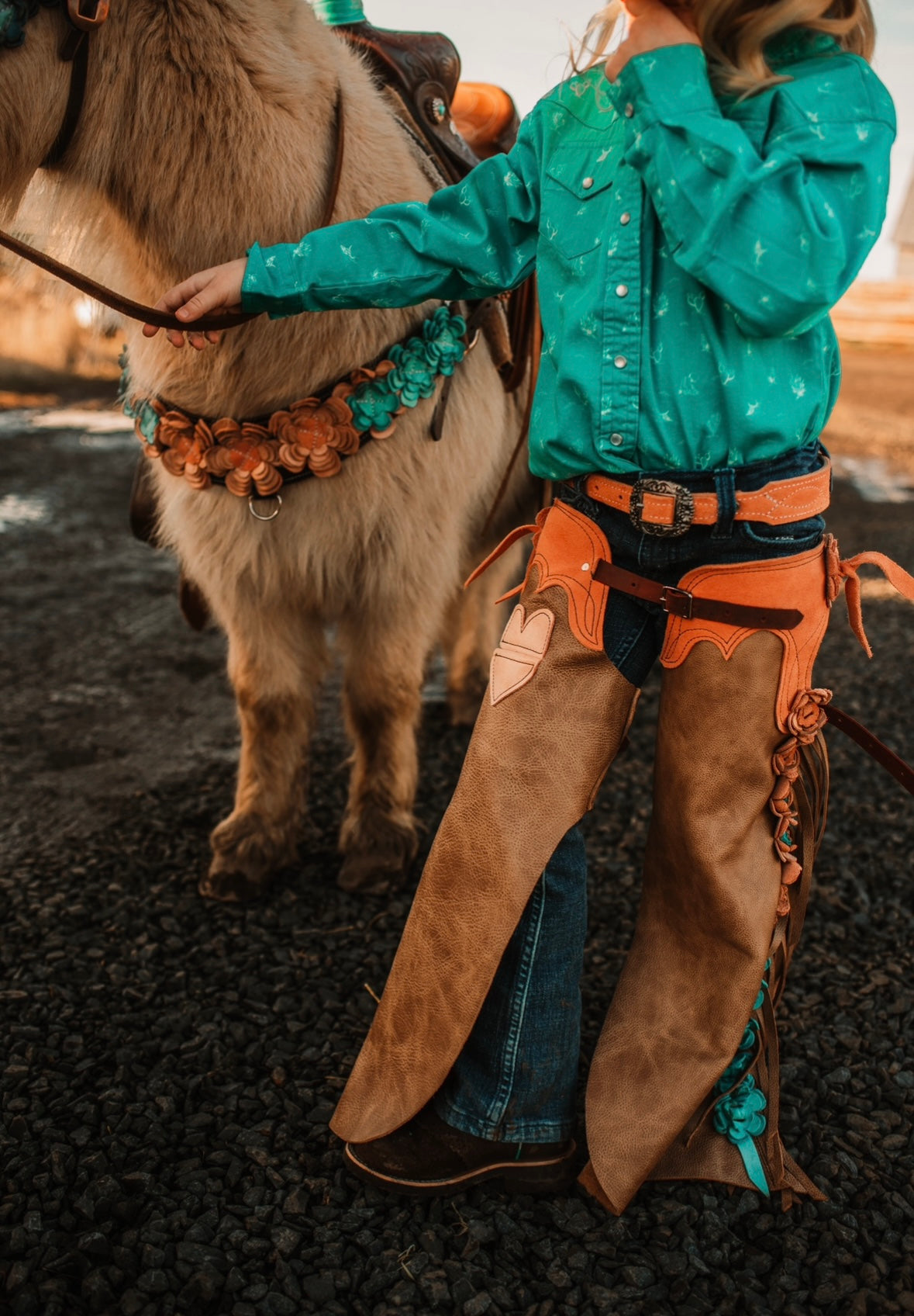 Tack Set Sunset Canyon