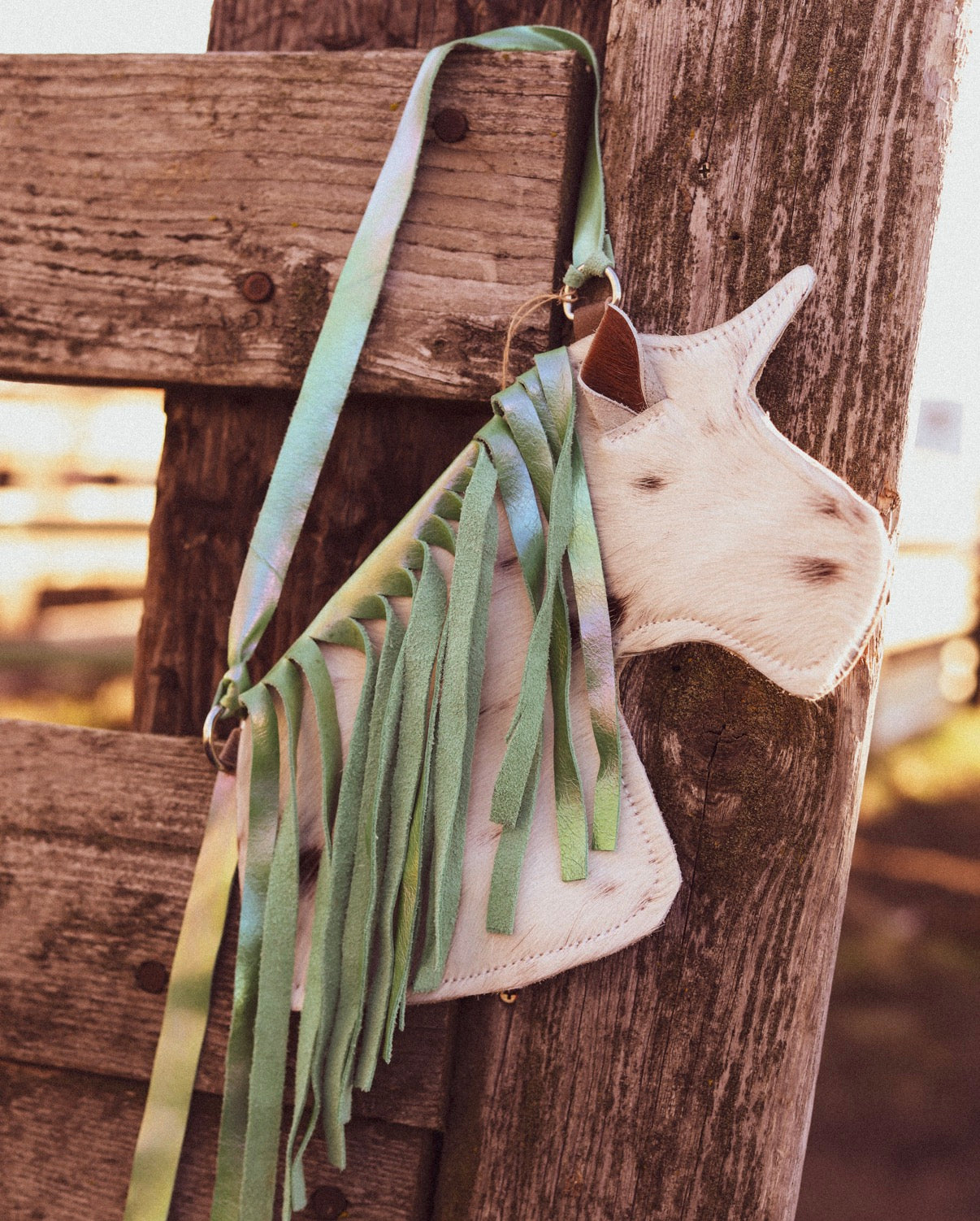 Dallies Pony Purse! #2