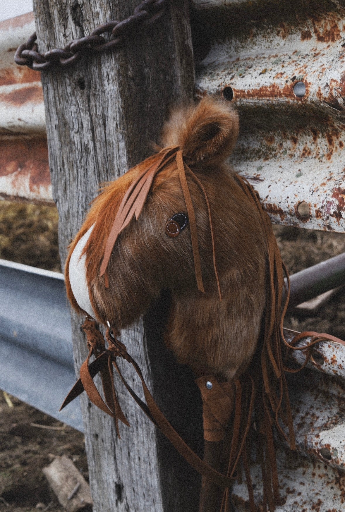 River! Cowhorse