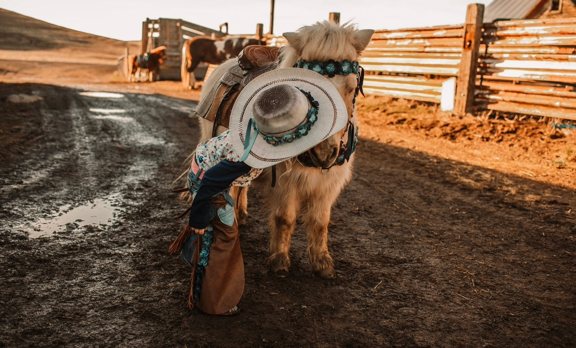 Bluebird Valley Hat Band