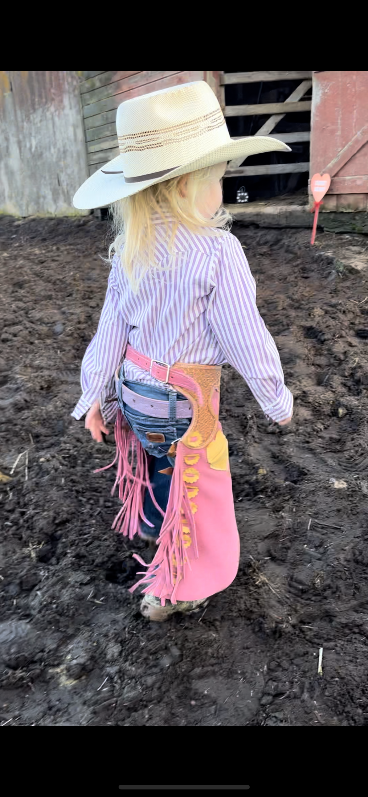 2-3T Toddler chaps!