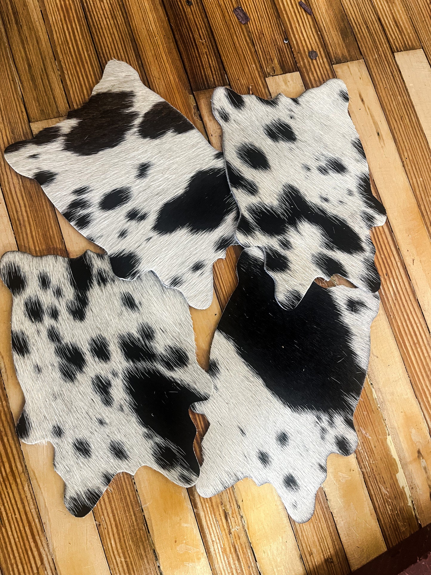 Cowhide Coasters Set of 4