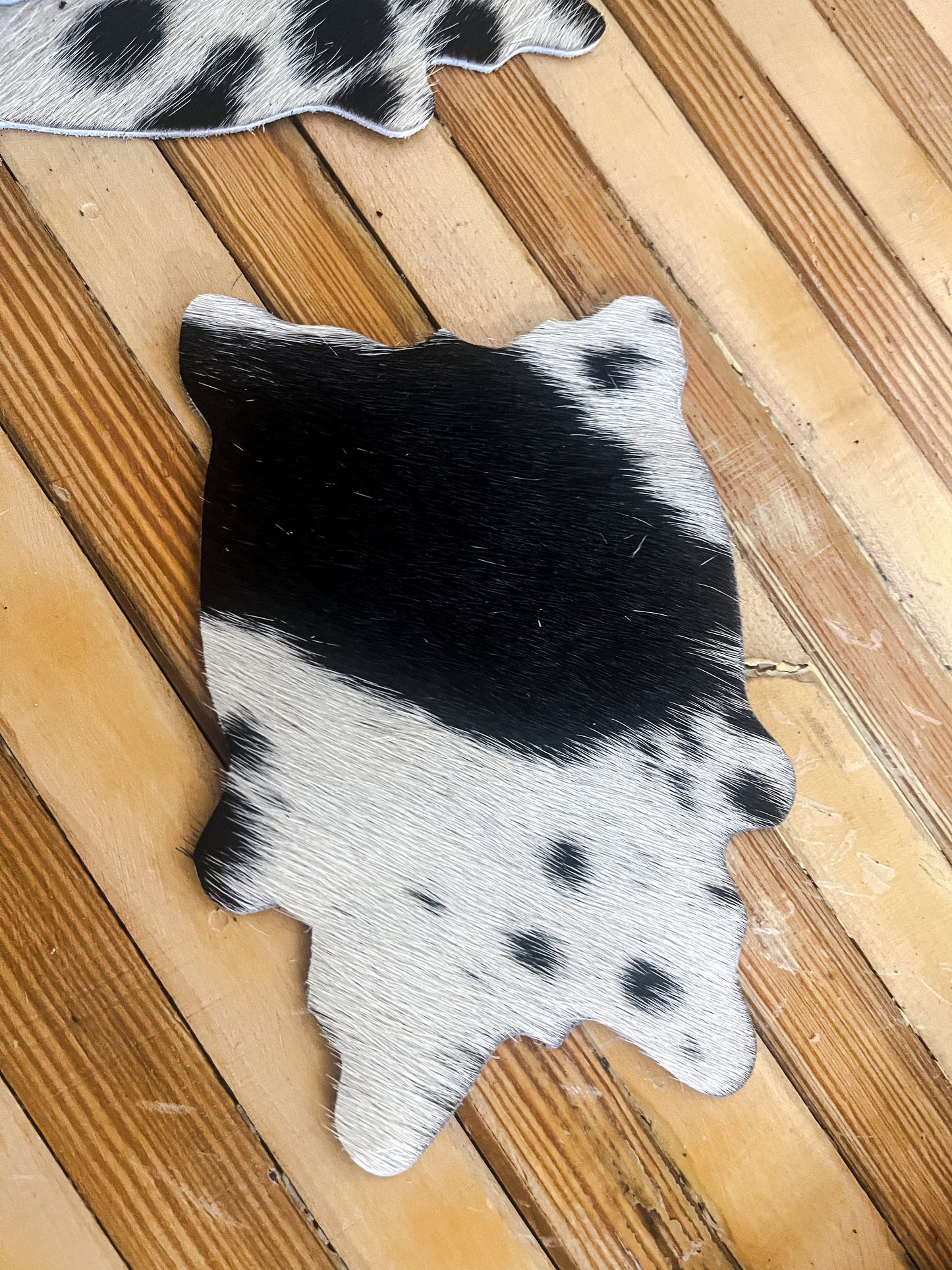 Cowhide Coasters Set of 4