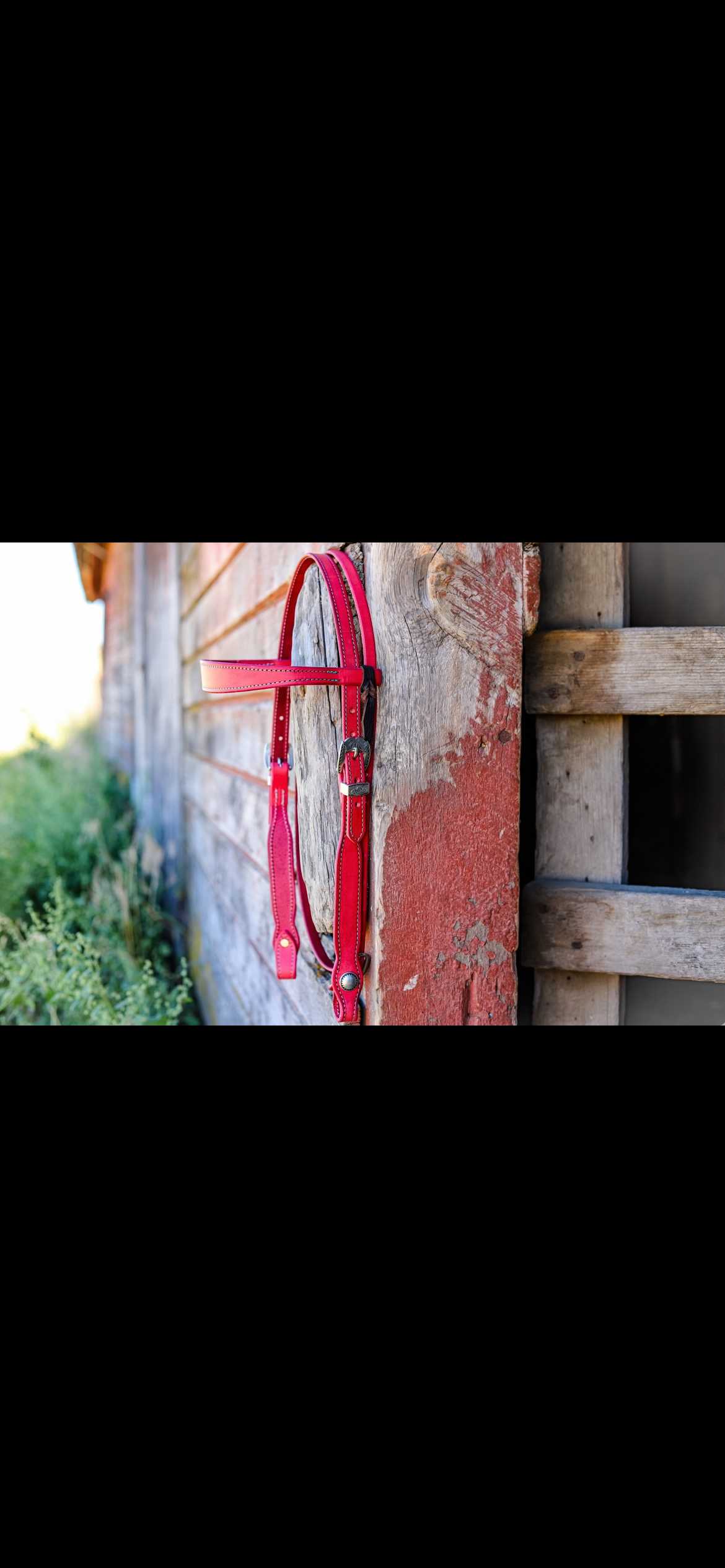 Cactus Flower Browband Headstall