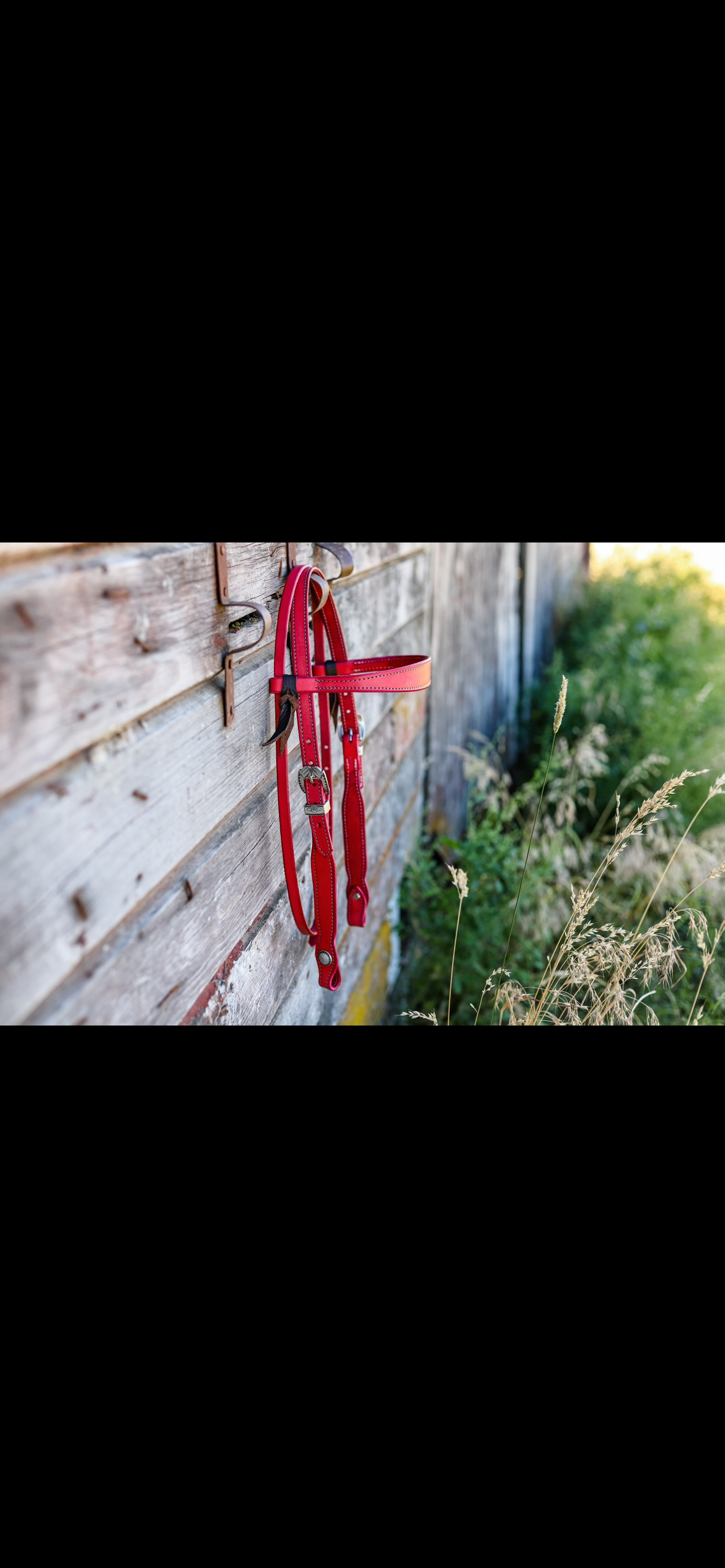 PREORDER Cactus Flower Browband Headstall