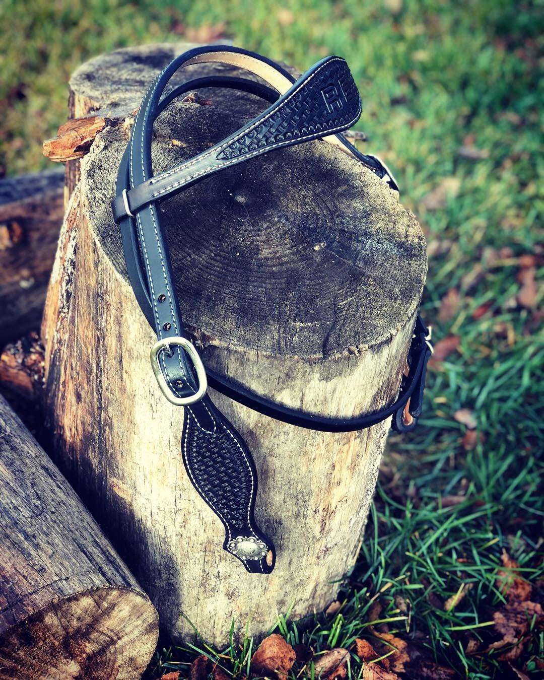 Custom Browband Headstall