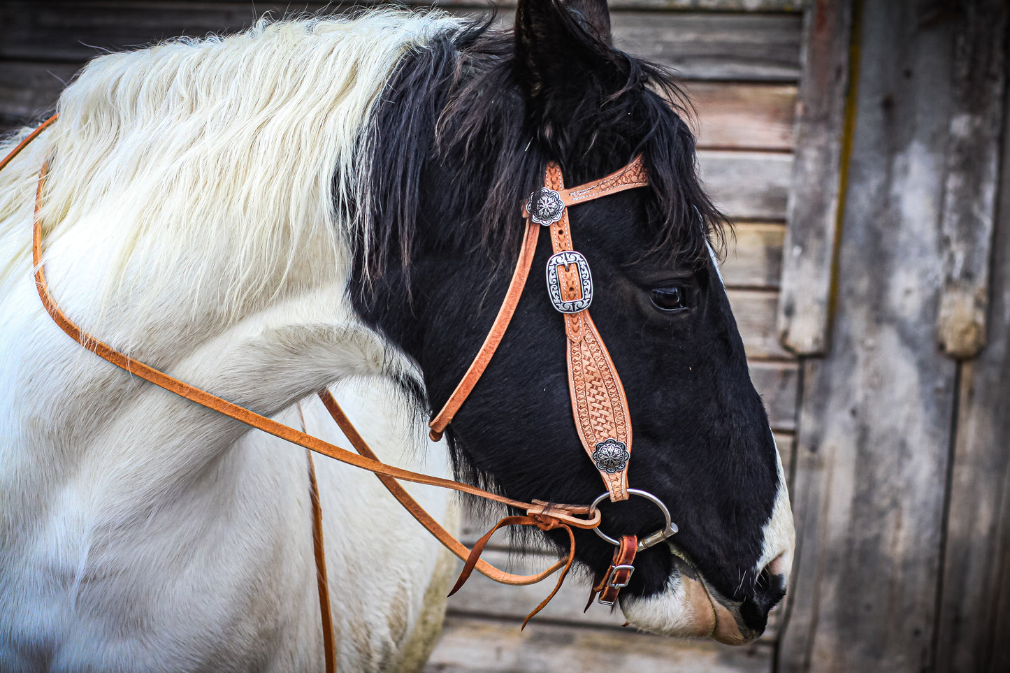 Roughout Ranch Headstall