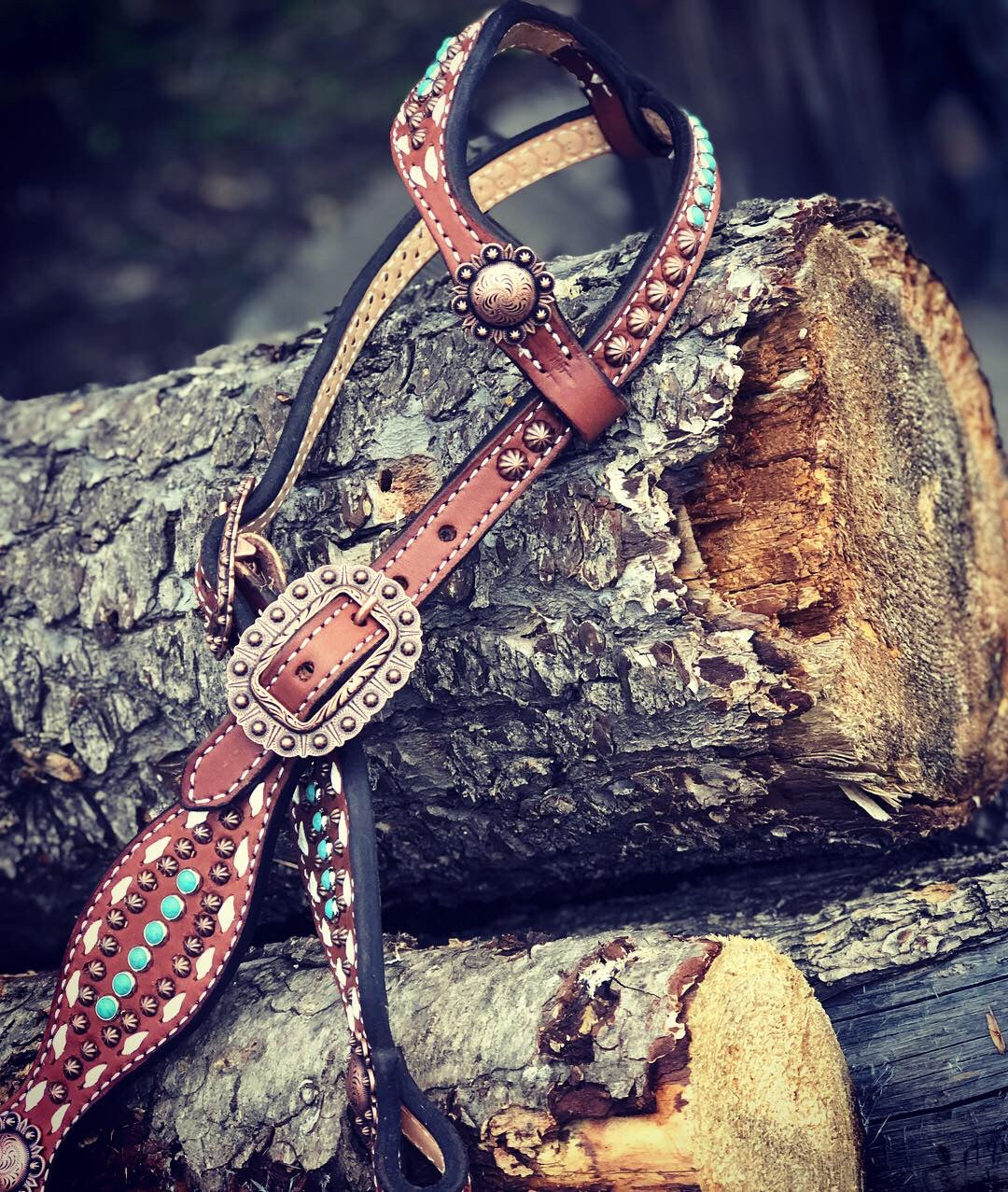 The Dally Fringed Roper Tack Set