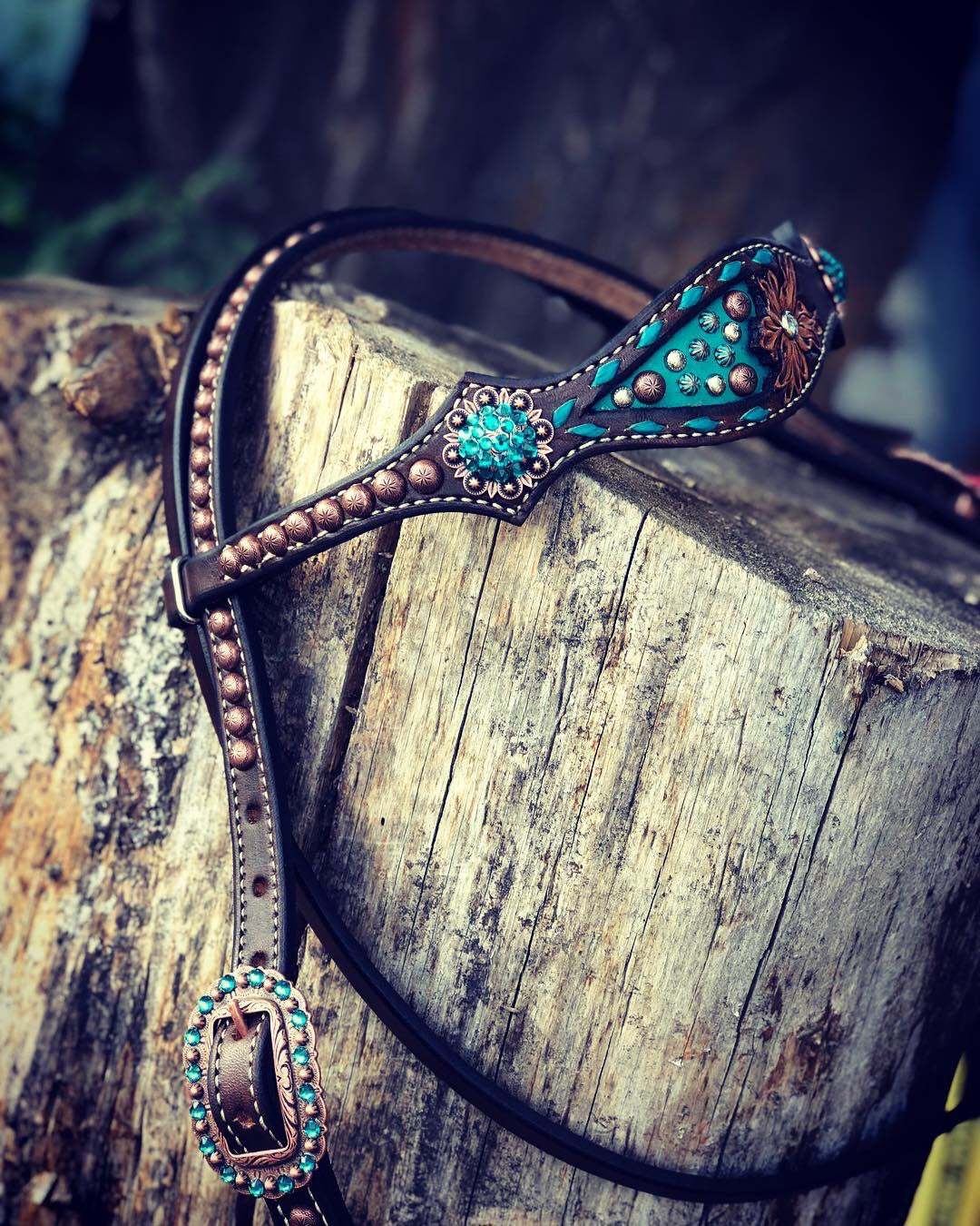 Custom Browband Headstall