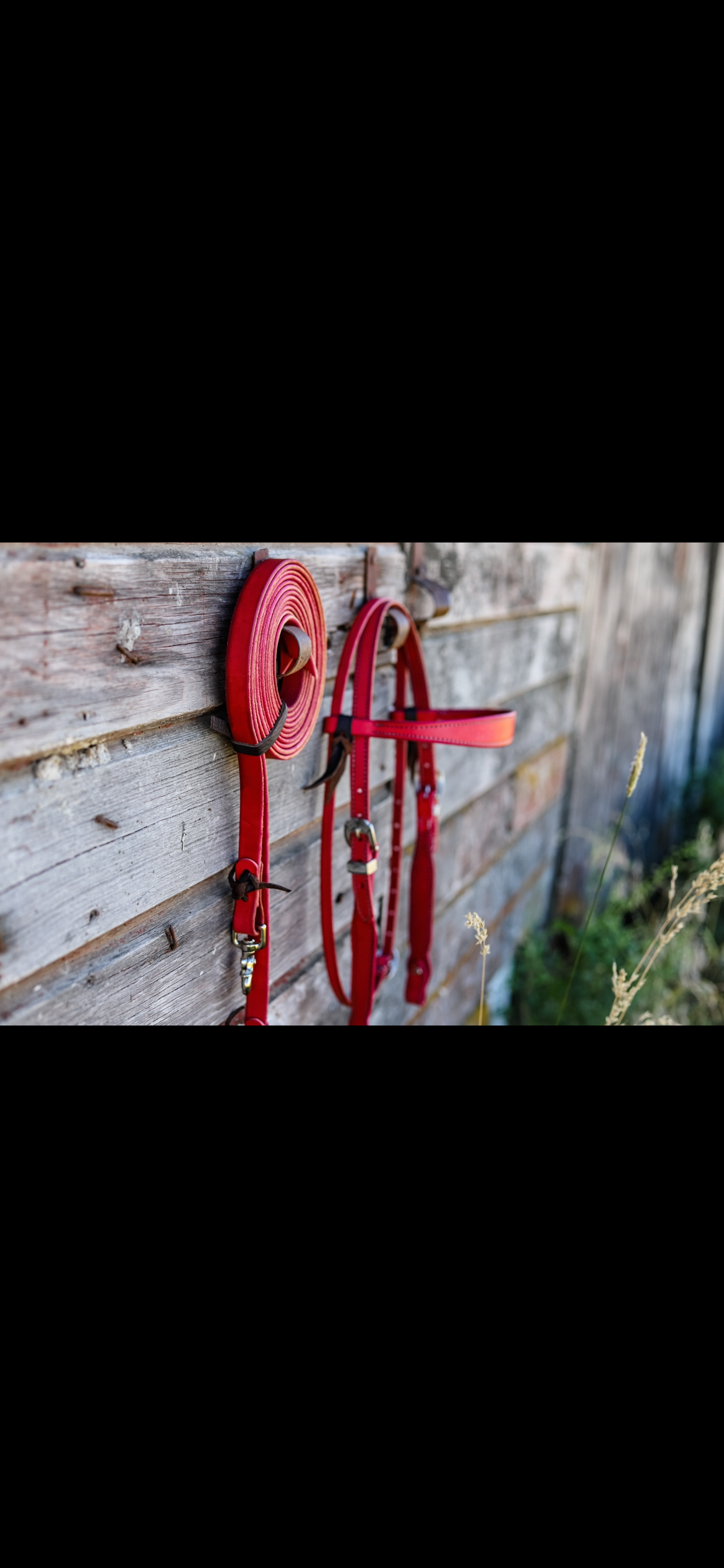 PREORDER Cactus Flower Browband Headstall