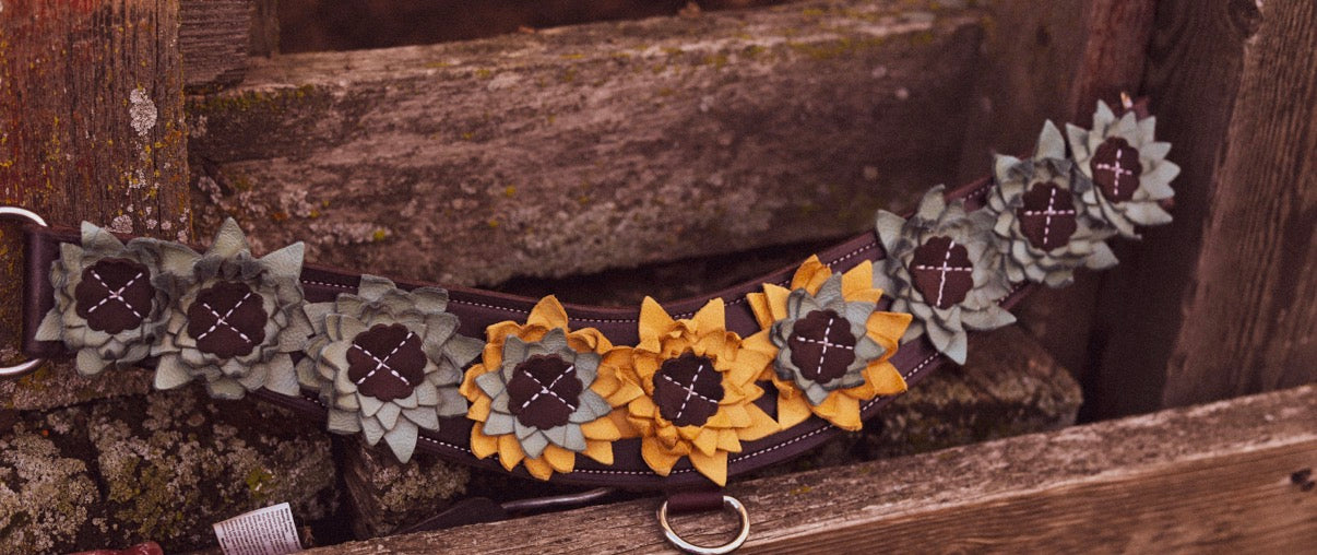 Western Skies Tripping Collar