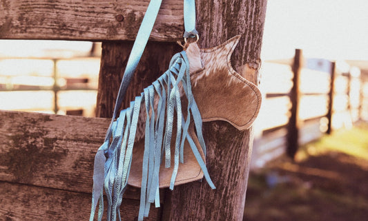 Dallies Pony Purse! #4