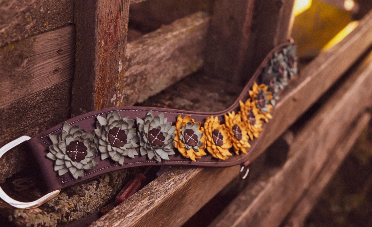 Western Skies Tripping Collar