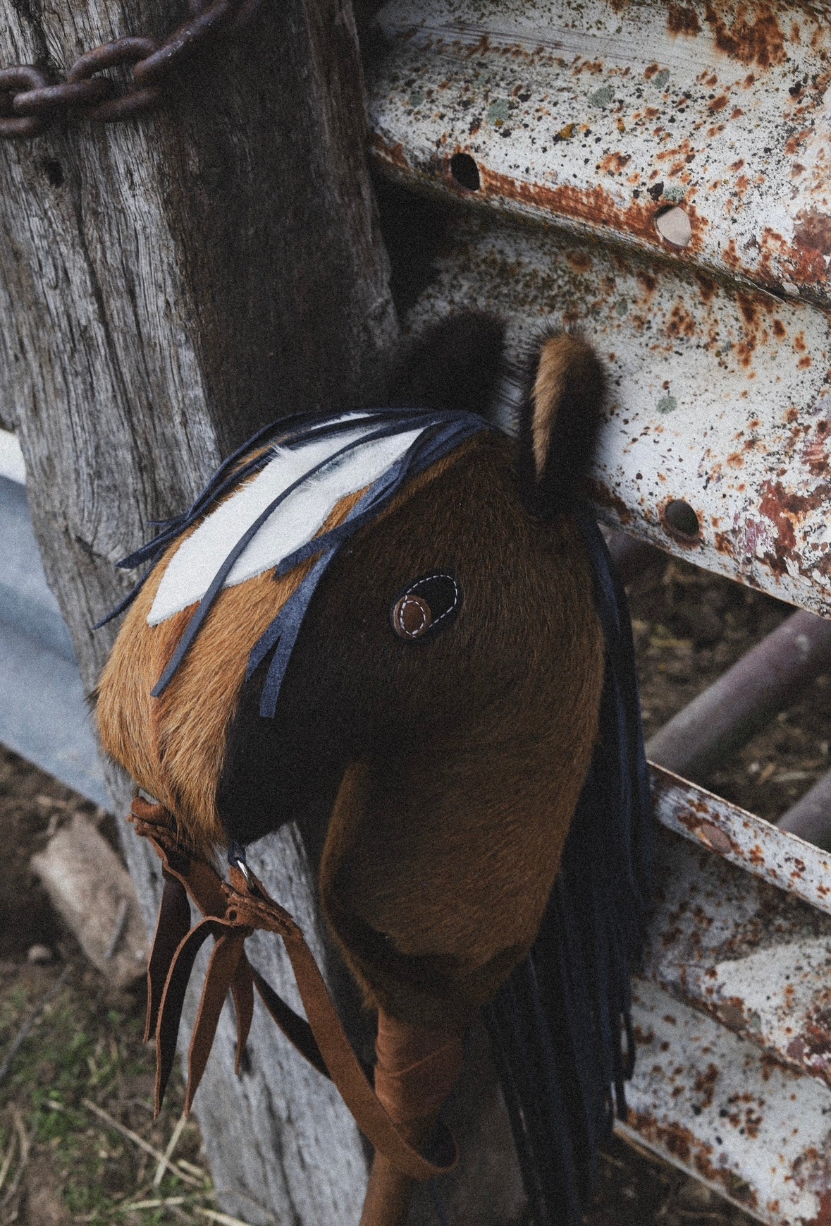 Boone! Cowhorse