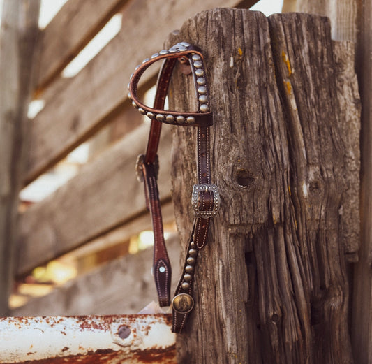 Spotted Single Ear Headstall Silver