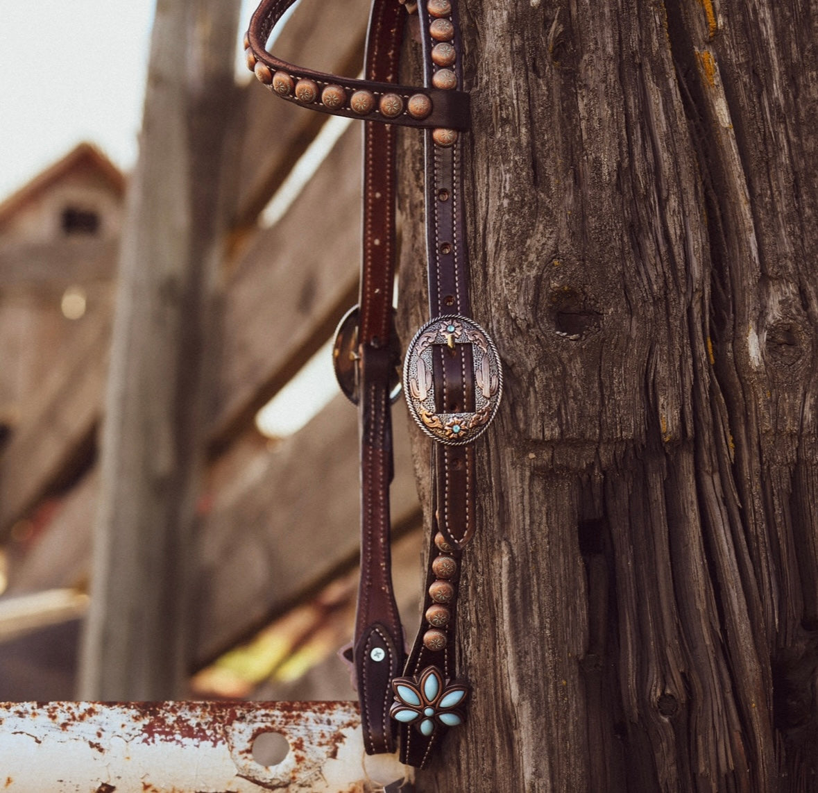 Spotted Single Ear Headstall Copper Patina