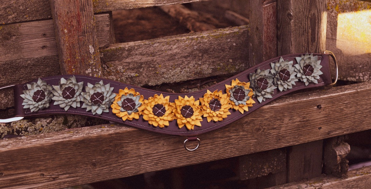 Western Skies Tripping Collar