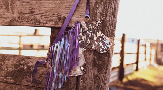 Dallies Pony Purse! #3