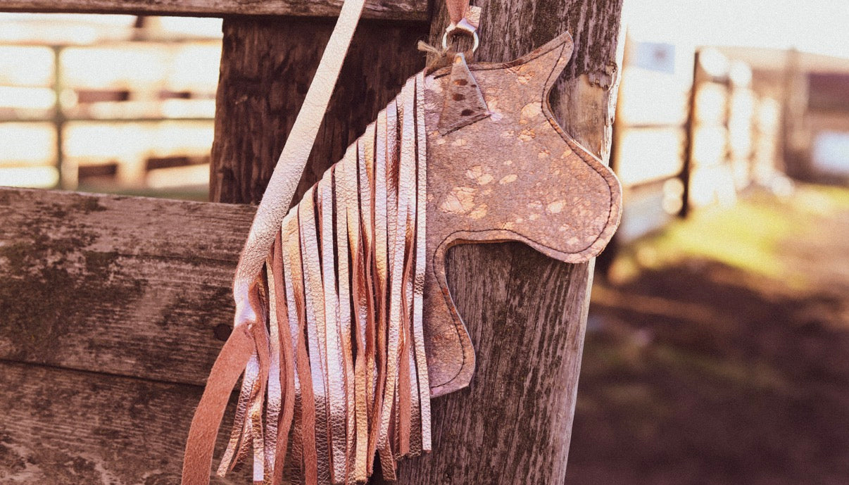 Dallies Pony Purse! #5