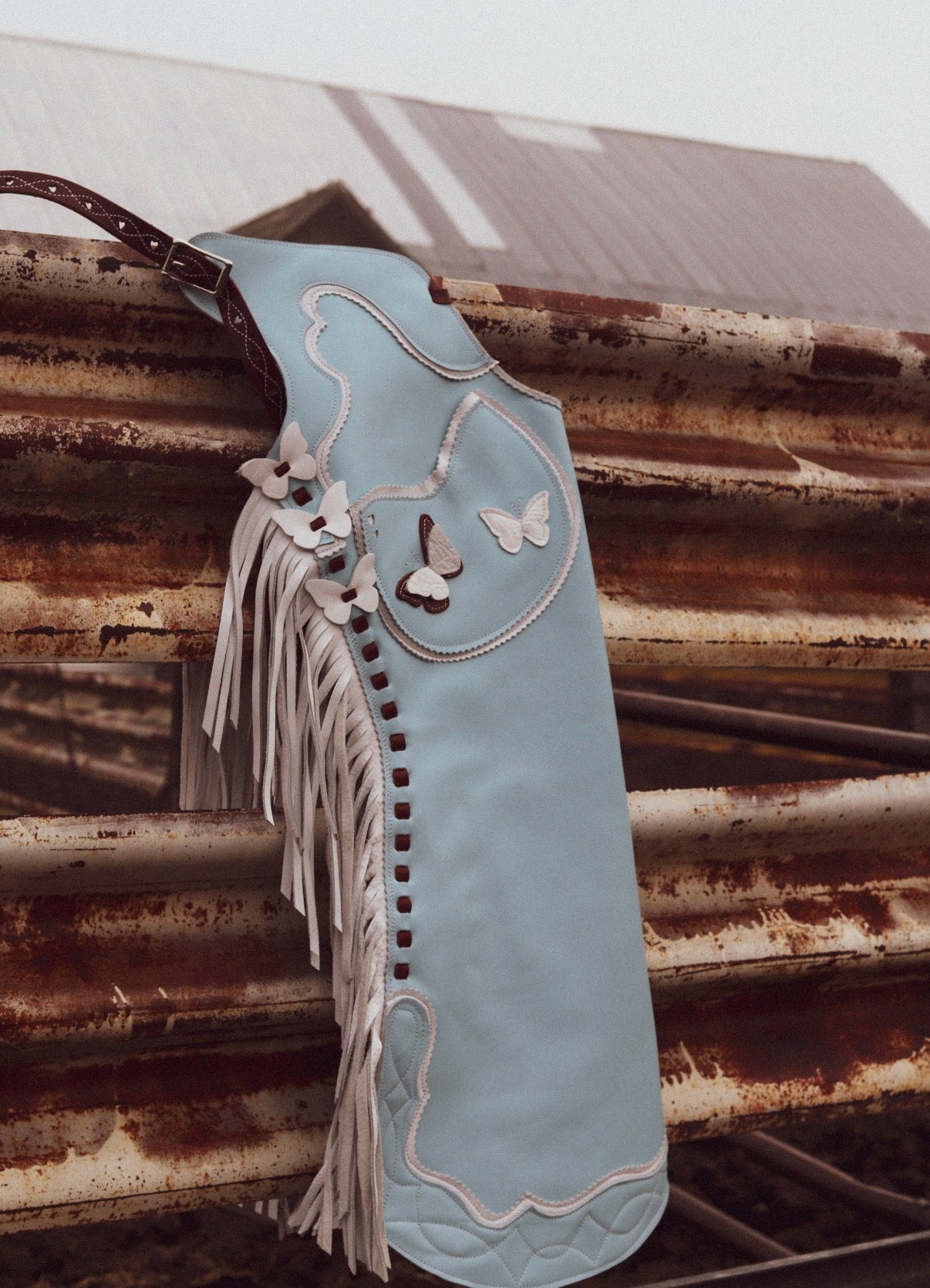 Sky Blue Butterfly Step Ins