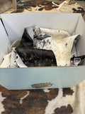 Cowhide Scrap Mystery Boxes!